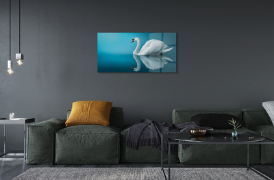 Fotografija na akrilnom staklu Labud u vodi