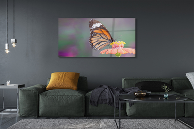 Fotografija na akrilnom staklu Šareni cvijet leptira