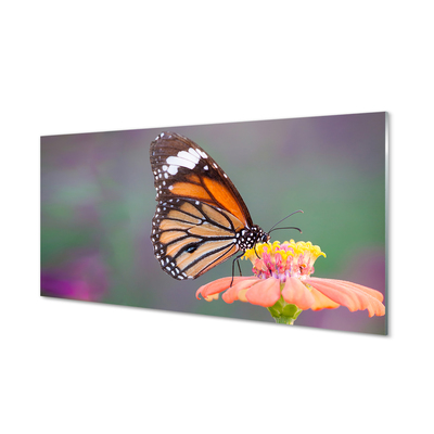 Fotografija na akrilnom staklu Šareni cvijet leptira