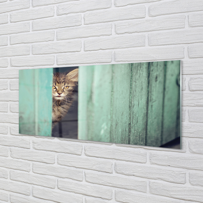 Fotografija na akrilnom staklu Mačka gleda unutra