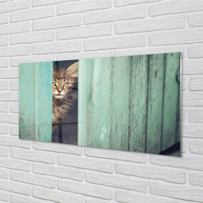 Fotografija na akrilnom staklu Mačka gleda unutra
