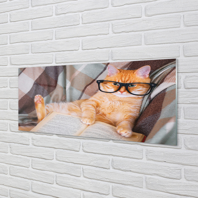 Fotografija na akrilnom staklu Mačka koja čita
