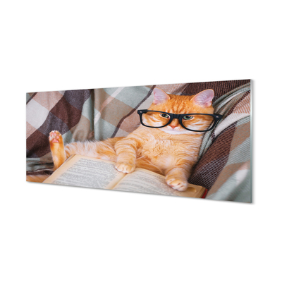 Fotografija na akrilnom staklu Mačka koja čita