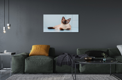Fotografija na akrilnom staklu Lažljiva mačka