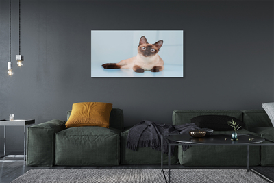 Fotografija na akrilnom staklu Lažljiva mačka