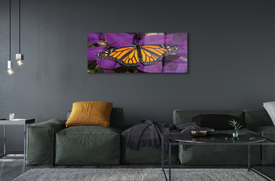 Fotografija na akrilnom staklu Šareno cvijeće leptira