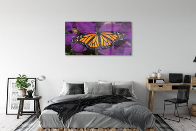 Fotografija na akrilnom staklu Šareno cvijeće leptira