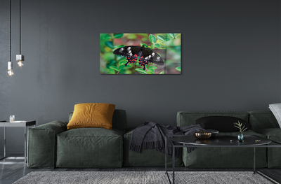 Fotografija na akrilnom staklu Šareno lišće leptira
