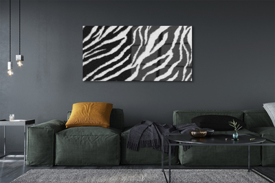 Fotografija na akrilnom staklu Zebra krzno