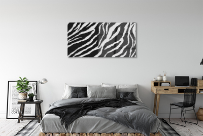 Fotografija na akrilnom staklu Zebra krzno