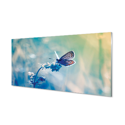 Slika na akrilnom staklu Šareni leptir