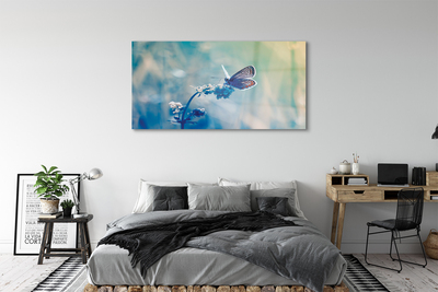 Slika na akrilnom staklu Šareni leptir