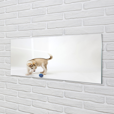 Slika na akrilnom staklu Pas koji se igra