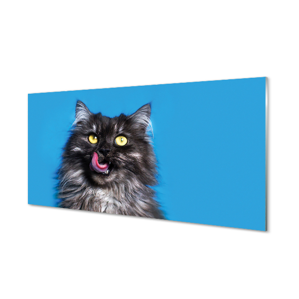 Fotografija na akrilnom staklu Mačka koja liže