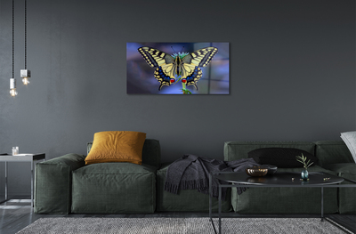 Fotografija na akrilnom staklu Leptir na cvijetu