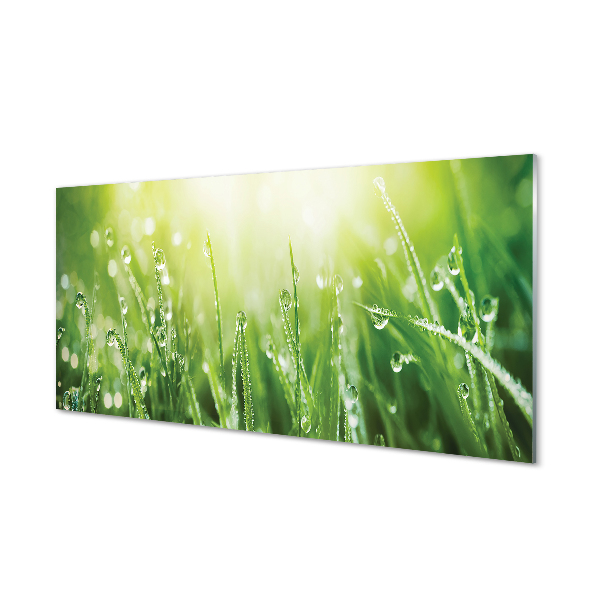 Fotografija na akrilnom staklu Sunčane kapi trave