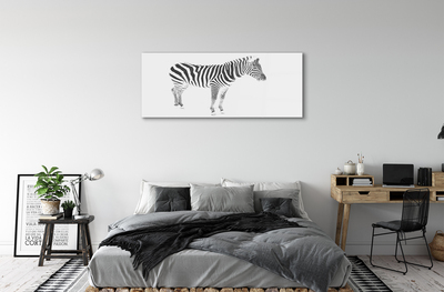 Fotografija na akrilnom staklu Oslikana zebra