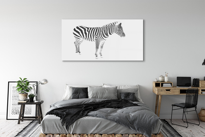 Fotografija na akrilnom staklu Oslikana zebra