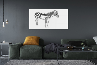 Fotografija na akrilnom staklu Oslikana zebra