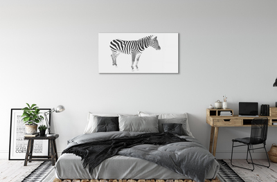 Fotografija na akrilnom staklu Oslikana zebra