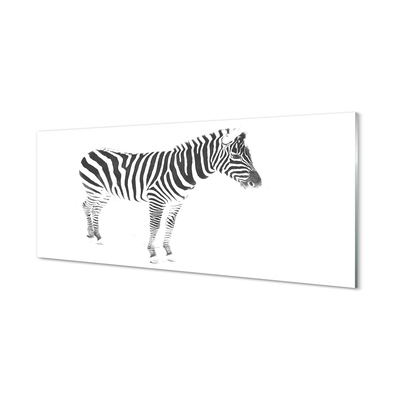 Fotografija na akrilnom staklu Oslikana zebra