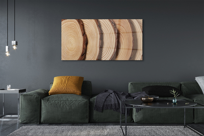 Fotografija na akrilnom staklu Kriške drvenog zrna