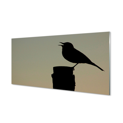Fotografija na akrilnom staklu Crna ptica