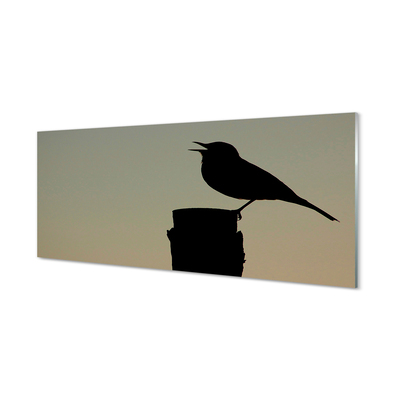Fotografija na akrilnom staklu Crna ptica