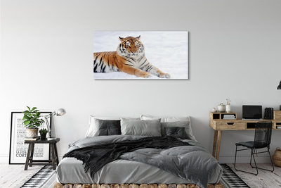 Fotografija na akrilnom staklu Zimski snježni tigar