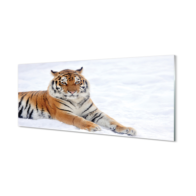 Fotografija na akrilnom staklu Zimski snježni tigar