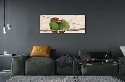 Fotografija na akrilnom staklu Zelene papige