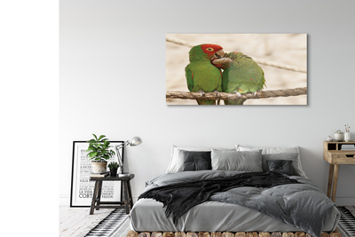 Fotografija na akrilnom staklu Zelene papige