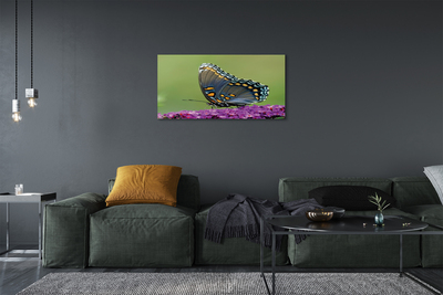 Slika na platnu Šareni leptir na cvijeću