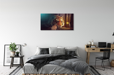 Fotografija na canvas platnu Tigrovi šumski čovjek