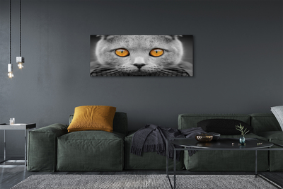 Slika na platnu Britanska siva mačka