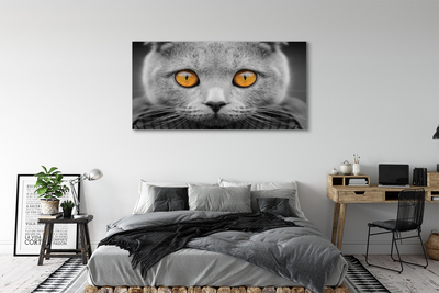Slika na platnu Britanska siva mačka