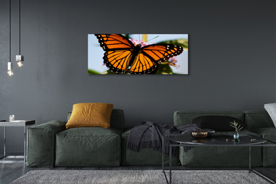 Foto slika na platnu Šareni leptir