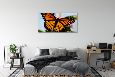 Foto slika na platnu Šareni leptir