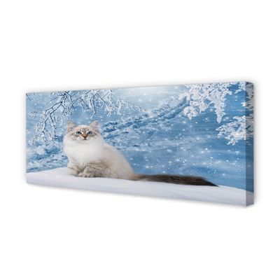 Slika canvas Mačka zimi