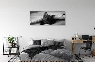 Fotografija na canvas platnu Mačka ispod deke