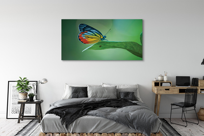 Slika canvas Šareni lisnati leptir