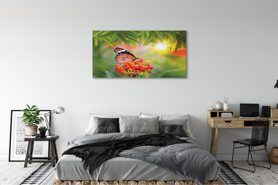 Fotografija na canvas platnu Šareno cvijeće leptira