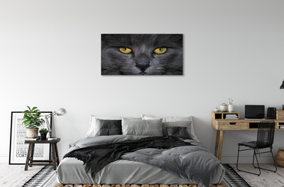 Fotografija na canvas platnu Crna mačka