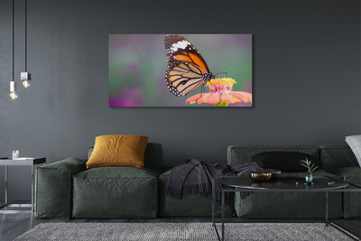 Fotografija na canvas platnu Šareni cvijet leptira
