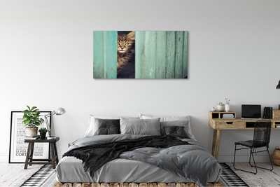 Slika canvas Mačka gleda unutra