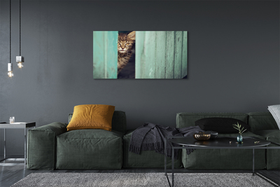 Slika canvas Mačka gleda unutra