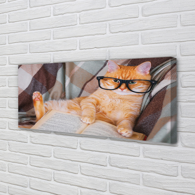 Slika na platnu Mačka koja čita