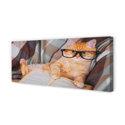 Slika na platnu Mačka koja čita