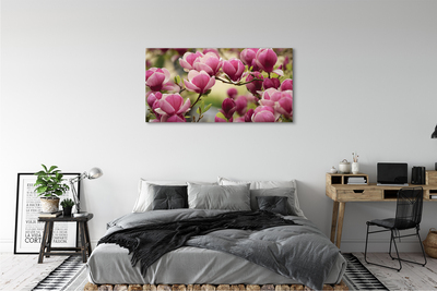 Slika na platnu Cvjetovi drveća