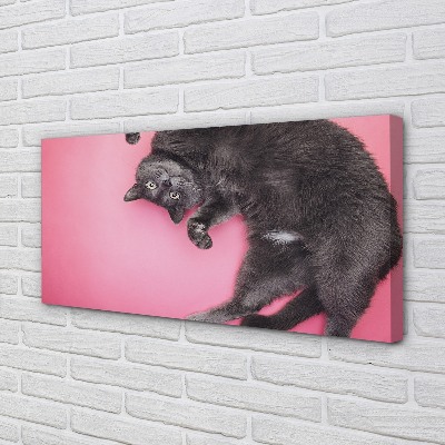 Slika canvas Lažljiva mačka